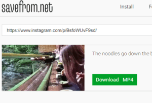 download instagram posts via browser