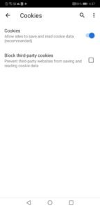 allow cookies in web browser